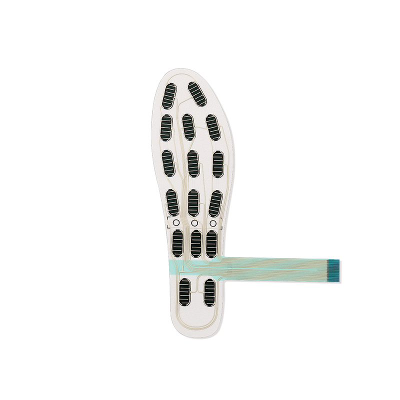 FS-INS-16Z Legact Wearable Sma - Smart Insole Pressure のレビューと価格