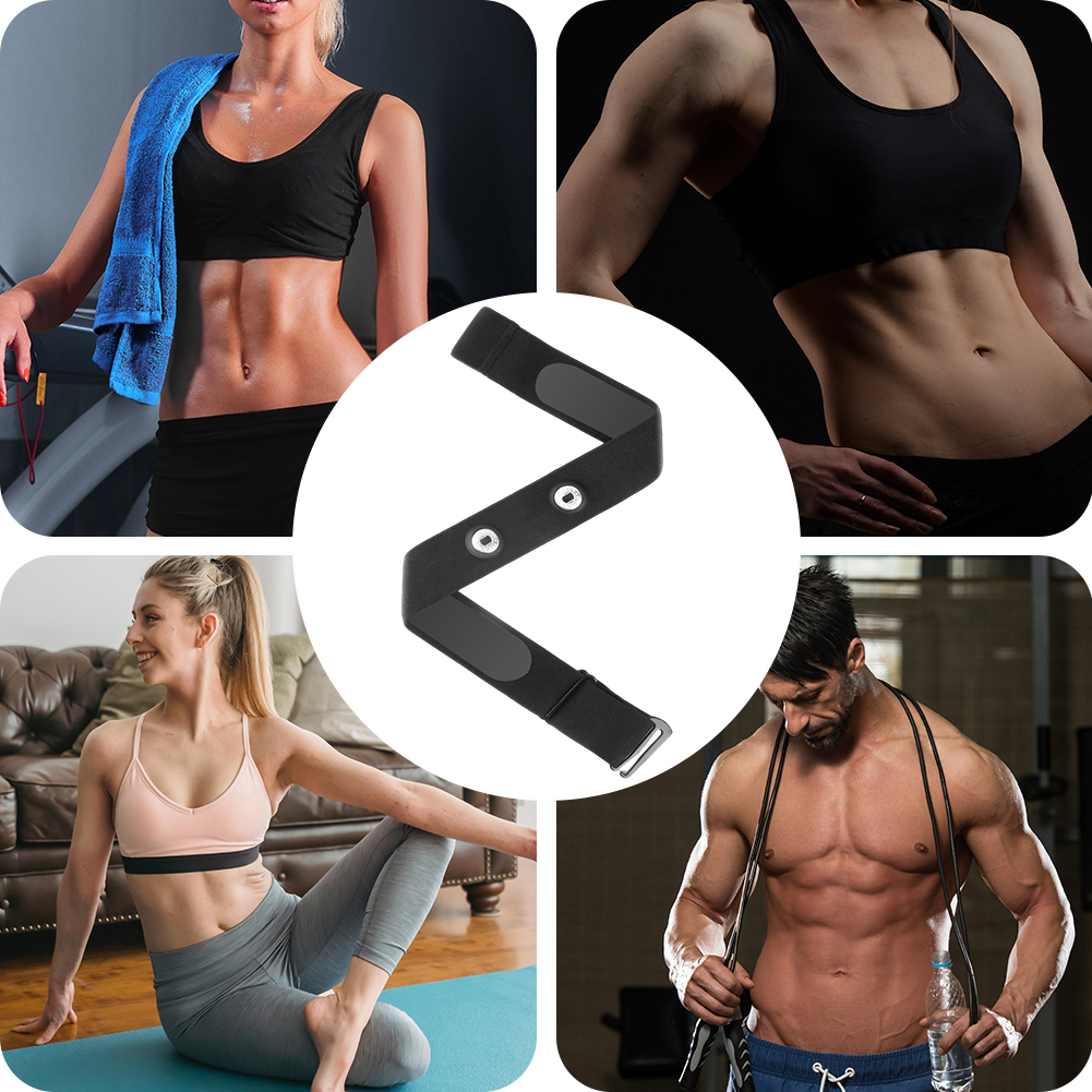 Replacement Heart Rate Sensor  - Breath Rate Monitor のレビューと価格