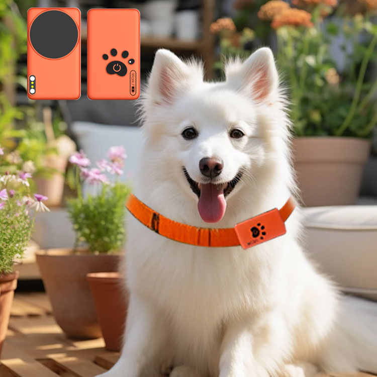 AI Wearable Pet Health Monitor - Breath Rate Monitor のレビューと価格